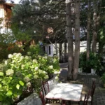 Narin Alabalık – İnegöl – Bursa